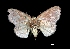  ( - MAL-00204)  @12 [ ] Unspecified (default): All Rights Reserved  Unspecified Unspecified