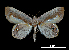  ( - MAL-00212)  @14 [ ] Unspecified (default): All Rights Reserved  Unspecified Unspecified
