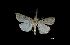  ( - MAL-00259)  @12 [ ] Unspecified (default): All Rights Reserved  Unspecified Unspecified