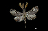  ( - MAL-00278)  @12 [ ] Unspecified (default): All Rights Reserved  Unspecified Unspecified