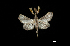 ( - MAL-00278)  @12 [ ] Unspecified (default): All Rights Reserved  Unspecified Unspecified