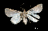  ( - MAL-00280)  @13 [ ] Unspecified (default): All Rights Reserved  Unspecified Unspecified