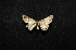  ( - MAL-00625)  @12 [ ] Unspecified (default): All Rights Reserved  Unspecified Unspecified