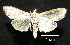  ( - MAL-00673)  @13 [ ] Unspecified (default): All Rights Reserved  Unspecified Unspecified
