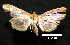  ( - MAL-00687)  @13 [ ] Unspecified (default): All Rights Reserved  Unspecified Unspecified