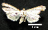  ( - MAL-00687)  @13 [ ] Unspecified (default): All Rights Reserved  Unspecified Unspecified