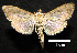  ( - MAL-00700)  @13 [ ] Unspecified (default): All Rights Reserved  Unspecified Unspecified