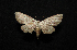  ( - MAL-00731)  @13 [ ] Unspecified (default): All Rights Reserved  Unspecified Unspecified