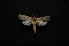  ( - MAL-00748)  @13 [ ] Unspecified (default): All Rights Reserved  Unspecified Unspecified