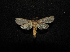  ( - MAL-00748)  @13 [ ] Unspecified (default): All Rights Reserved  Unspecified Unspecified