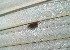  ( - MLL-00853)  @12 [ ] Unspecified (default): All Rights Reserved  Unspecified Unspecified