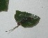  ( - MLL-00984)  @12 [ ] Unspecified (default): All Rights Reserved  Unspecified Unspecified