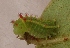  ( - MLL-01773)  @13 [ ] Unspecified (default): All Rights Reserved  Unspecified Unspecified