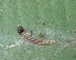  ( - MLL-01809)  @12 [ ] Unspecified (default): All Rights Reserved  Unspecified Unspecified