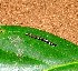  ( - MLL-01873)  @12 [ ] Unspecified (default): All Rights Reserved  Unspecified Unspecified