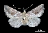  ( - MAL-00303)  @14 [ ] Unspecified (default): All Rights Reserved  Unspecified Unspecified