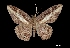  ( - MAL-00362)  @12 [ ] Unspecified (default): All Rights Reserved  Unspecified Unspecified