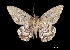  ( - MAL-00362)  @12 [ ] Unspecified (default): All Rights Reserved  Unspecified Unspecified