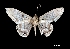  ( - MAL-00364)  @12 [ ] Unspecified (default): All Rights Reserved  Unspecified Unspecified