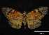  ( - MAL-00425)  @13 [ ] Unspecified (default): All Rights Reserved  Unspecified Unspecified