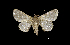  ( - MAL-00450)  @13 [ ] Unspecified (default): All Rights Reserved  Unspecified Unspecified