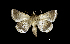  ( - MAL-00457)  @13 [ ] Unspecified (default): All Rights Reserved  Unspecified Unspecified