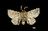  ( - MAL-00474)  @12 [ ] Unspecified (default): All Rights Reserved  Unspecified Unspecified