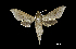  ( - MAL-00479)  @14 [ ] Unspecified (default): All Rights Reserved  Unspecified Unspecified