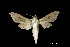  ( - MAL-00479)  @13 [ ] Unspecified (default): All Rights Reserved  Unspecified Unspecified