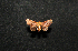  ( - MAL-00482)  @12 [ ] Unspecified (default): All Rights Reserved  Unspecified Unspecified