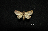  ( - MAL-00518)  @13 [ ] Unspecified (default): All Rights Reserved  Unspecified Unspecified