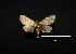  ( - MAL-00777)  @12 [ ] Unspecified (default): All Rights Reserved  Unspecified Unspecified
