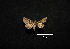  ( - MAL-00779)  @12 [ ] Unspecified (default): All Rights Reserved  Unspecified Unspecified