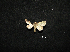  ( - MAL-00779)  @12 [ ] Unspecified (default): All Rights Reserved  Unspecified Unspecified