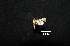  ( - MAL-00795)  @12 [ ] Unspecified (default): All Rights Reserved  Unspecified Unspecified
