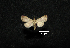  ( - MAL-00798)  @12 [ ] Unspecified (default): All Rights Reserved  Unspecified Unspecified