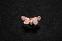  ( - MAL-00799)  @12 [ ] Unspecified (default): All Rights Reserved  Unspecified Unspecified