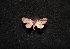  ( - MAL-00799)  @13 [ ] Unspecified (default): All Rights Reserved  Unspecified Unspecified