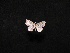  ( - MAL-00807)  @12 [ ] Unspecified (default): All Rights Reserved  Unspecified Unspecified