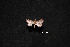  ( - MAL-00812)  @12 [ ] Unspecified (default): All Rights Reserved  Unspecified Unspecified