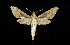 ( - MAL-00818)  @14 [ ] Unspecified (default): All Rights Reserved  Unspecified Unspecified