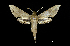  ( - MAL-00819)  @14 [ ] Unspecified (default): All Rights Reserved  Unspecified Unspecified