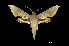  ( - MAL-00820)  @14 [ ] Unspecified (default): All Rights Reserved  Unspecified Unspecified