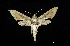 ( - MAL-00820)  @14 [ ] Unspecified (default): All Rights Reserved  Unspecified Unspecified
