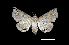  ( - MAL-00839)  @14 [ ] Unspecified (default): All Rights Reserved  Unspecified Unspecified