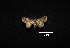  ( - MAL-00863)  @12 [ ] Unspecified (default): All Rights Reserved  Unspecified Unspecified