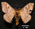  ( - MAL-00883)  @13 [ ] Unspecified (default): All Rights Reserved  Unspecified Unspecified