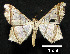  ( - MAL-00907)  @14 [ ] Unspecified (default): All Rights Reserved  Unspecified Unspecified