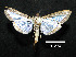  ( - MAL-00923)  @13 [ ] Unspecified (default): All Rights Reserved  Unspecified Unspecified