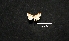  ( - MAL-00943)  @12 [ ] Unspecified (default): All Rights Reserved  Unspecified Unspecified